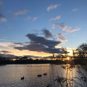 Meet your Posher, Zoe